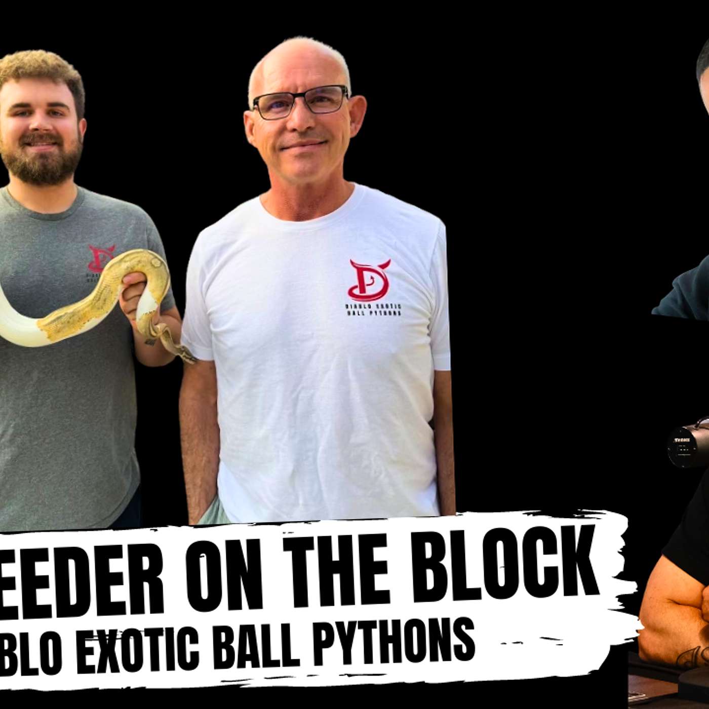 HAVING THE LARGEST POMPEII BALL PYTHON COLLECTION IN THE WORLD | NEW BREEDER ON THE BLOCK LIVE