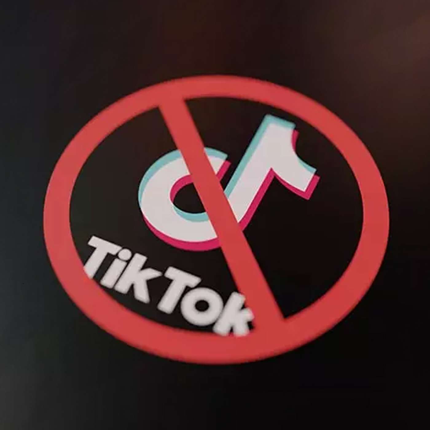 From TikTok to Rednote: The Dialectical Transition into Opposites