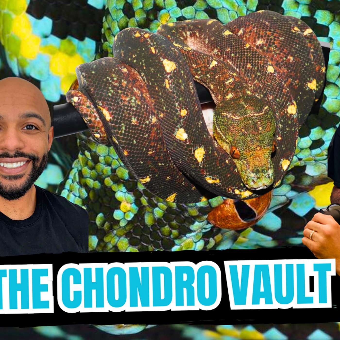 The Hardest Thing About Producing Green Tree Pythons | All In The Tree Tuesday Live