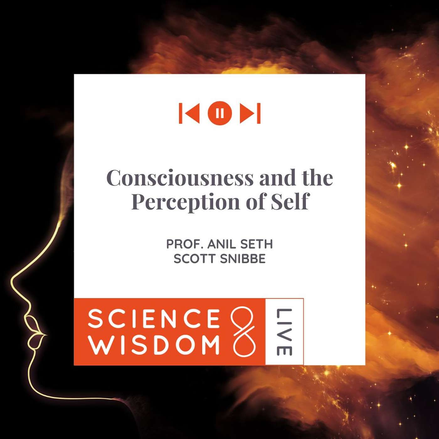 Prof. Anil Seth - Consciousness and the Perception of Self