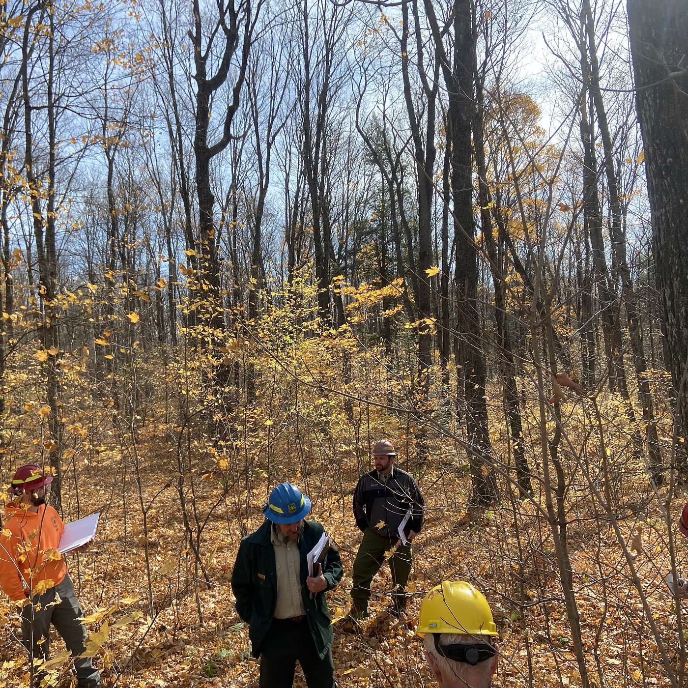 S.6 Ep.10: Uneven by Design