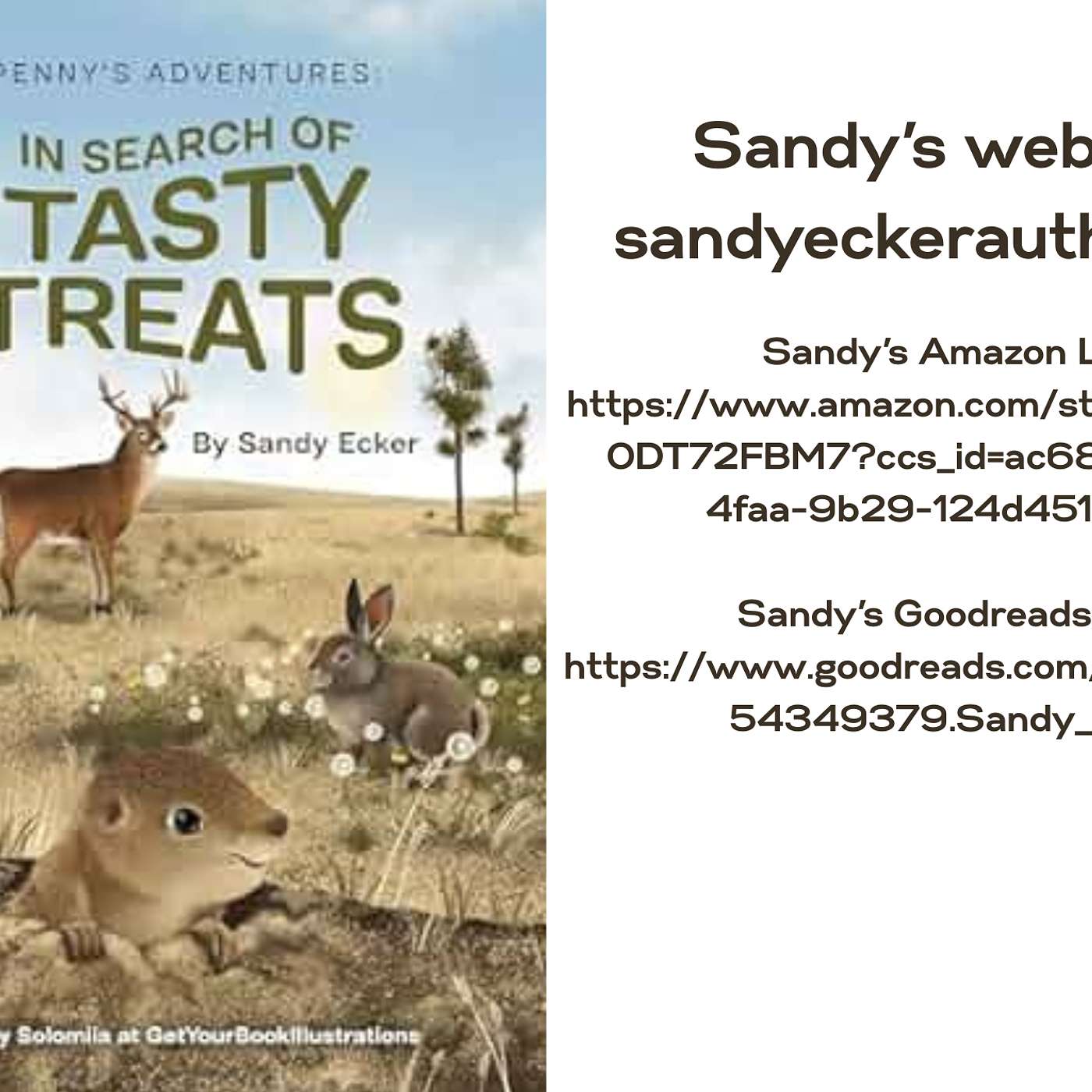 Conversations Between Terrie Lynn and New Authors
