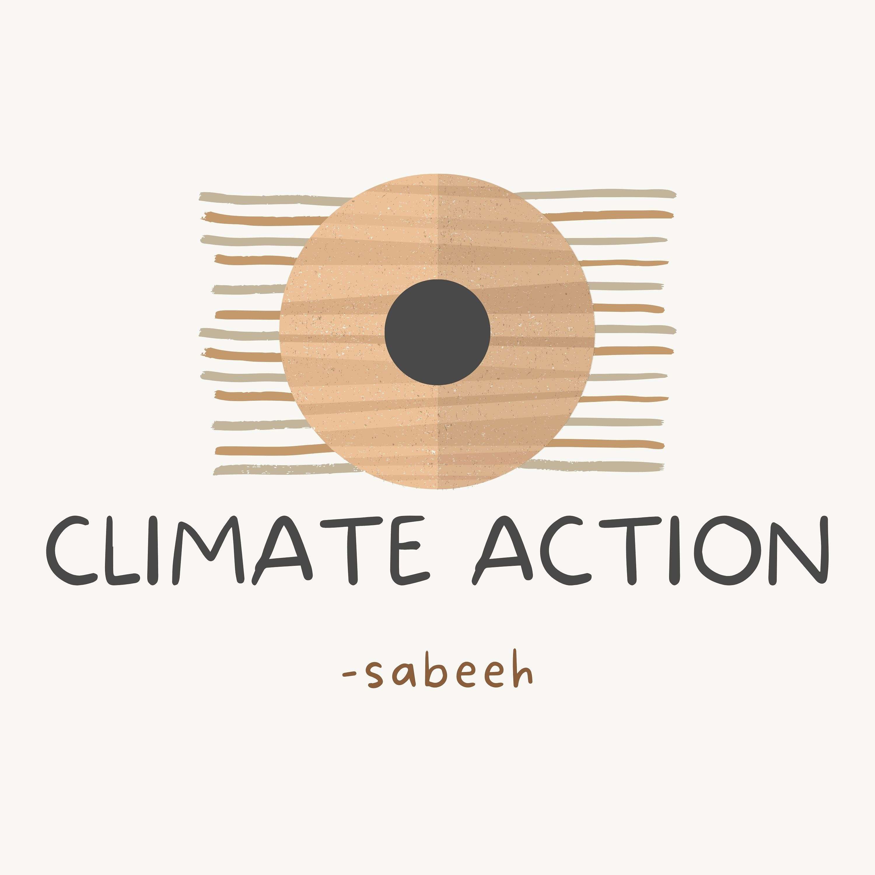 Sustainable Development Goal 13 - Sabeeh cover art