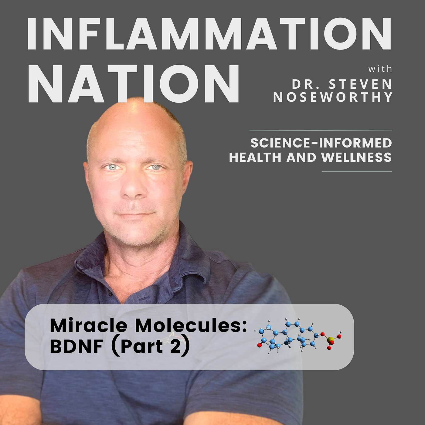 168 | Miracle Molecules That Save Your Brain: BDNF (Part 2) - Supercharging Your Cognitive Health Through Lifestyle and Nutrition