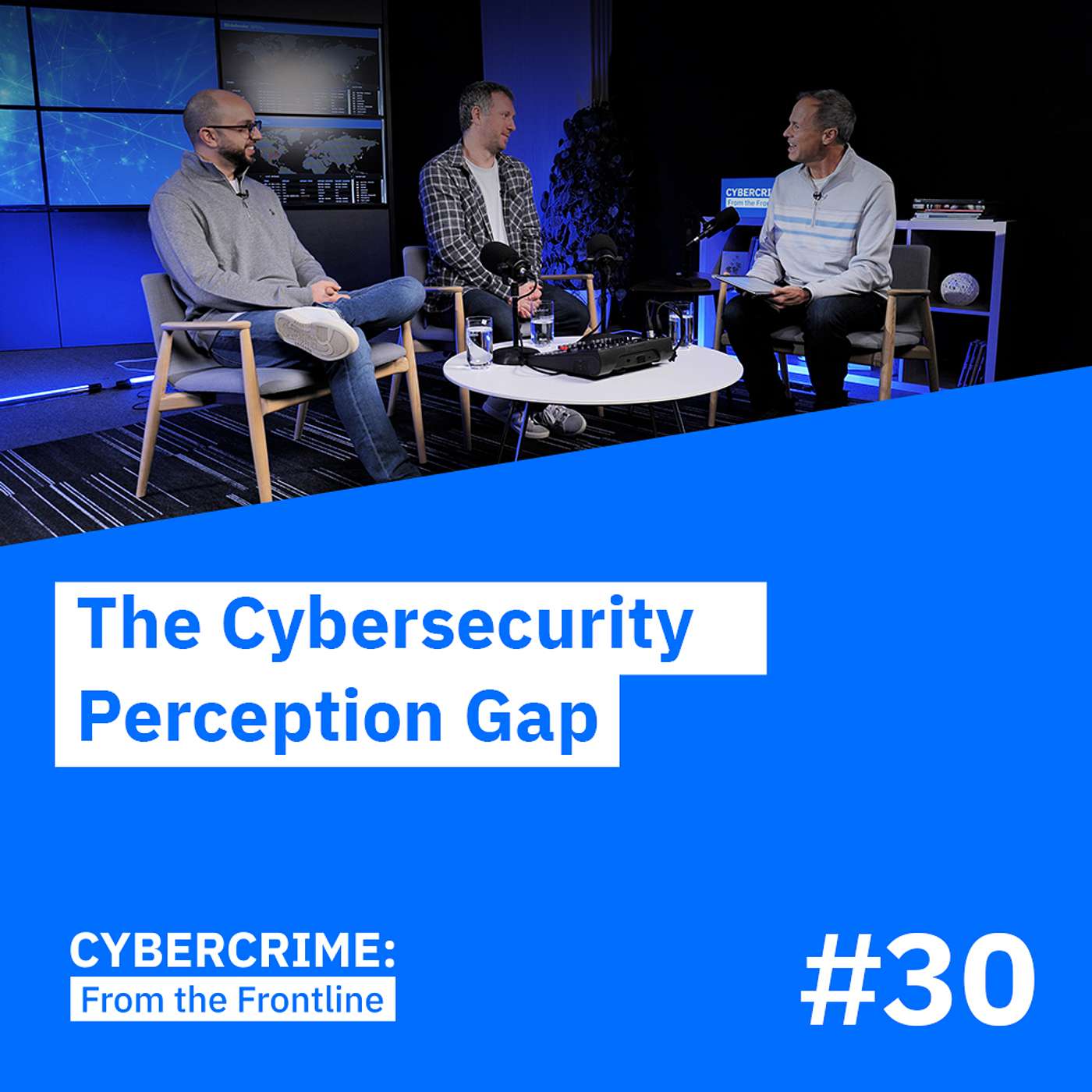 The Cybersecurity Perception Gap