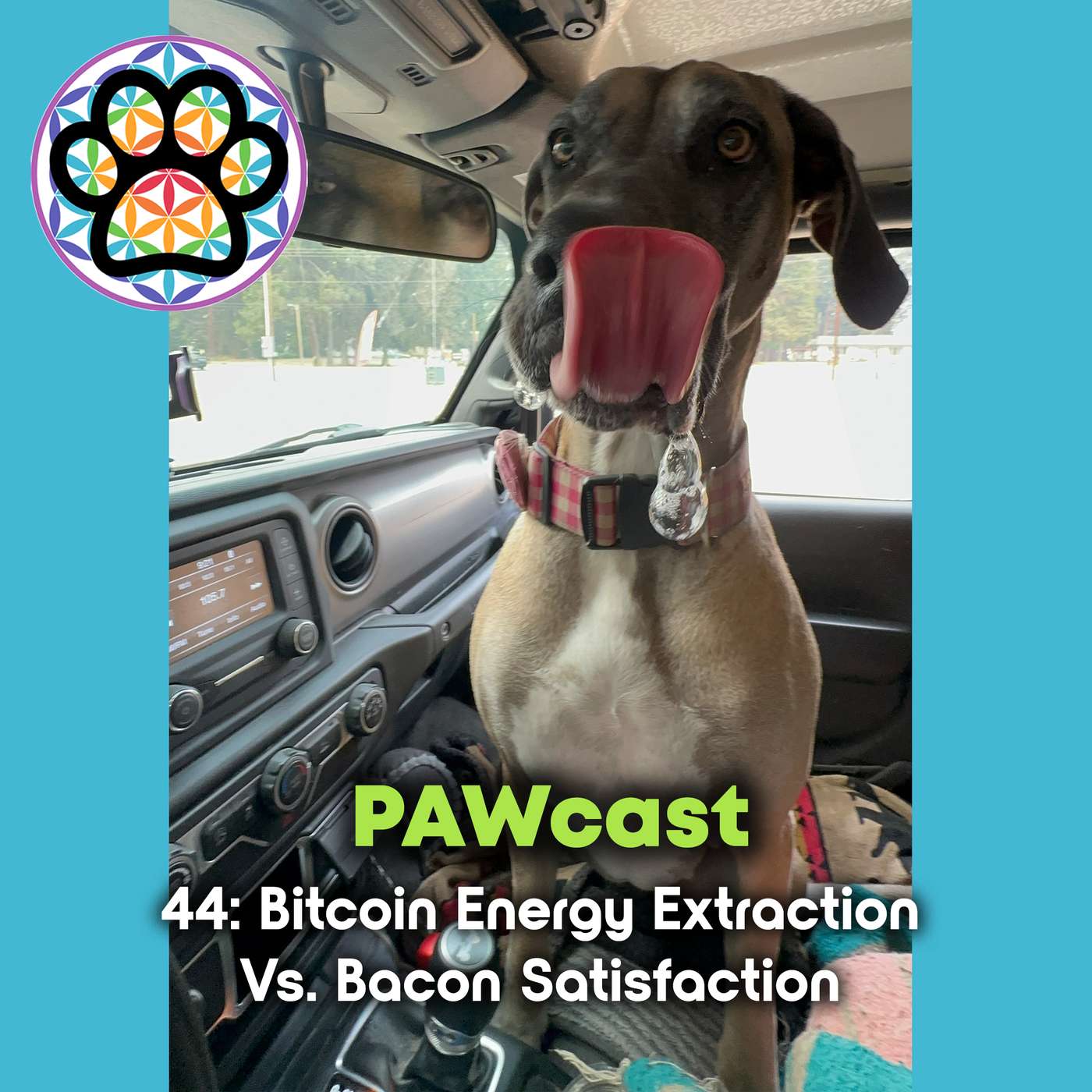 44: Bitcoin Energy Extraction Vs. Bacon Satisfaction episode artwork