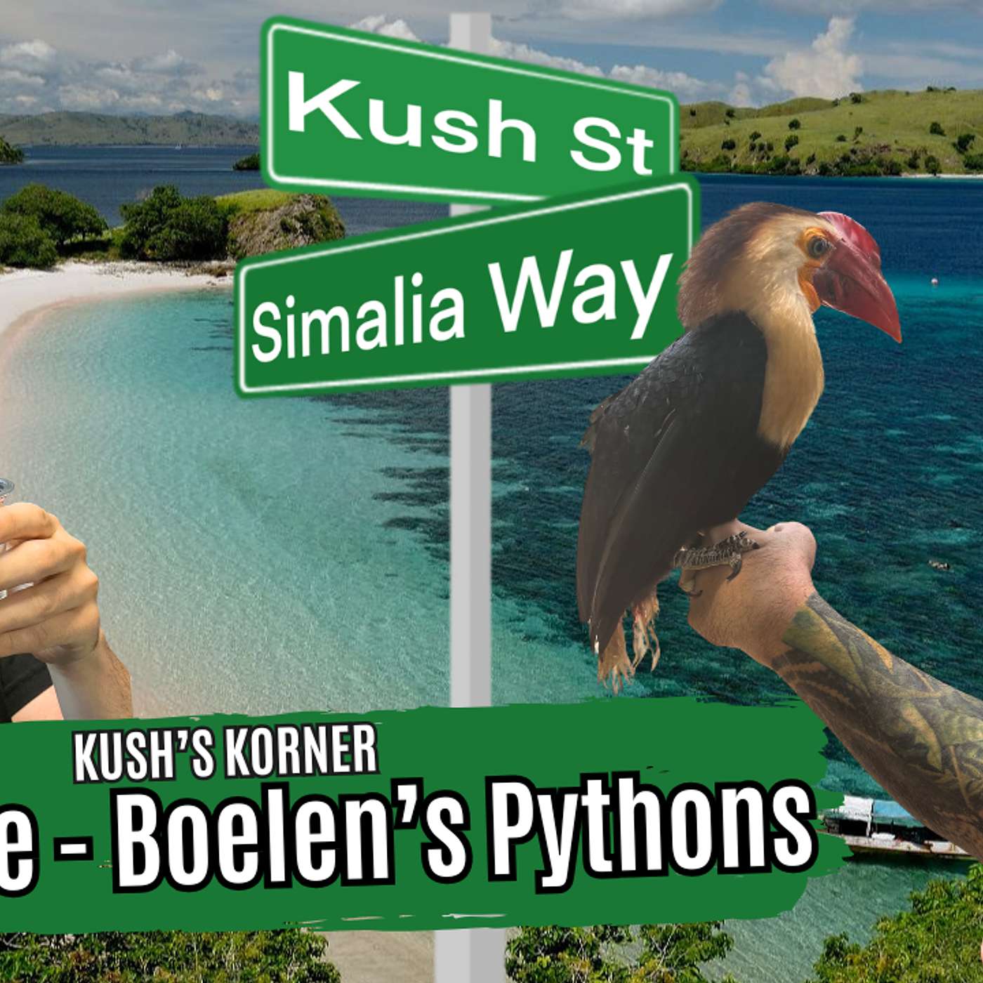 The Future Of Boelen's Pythons Conservation | Kush's Korner Live