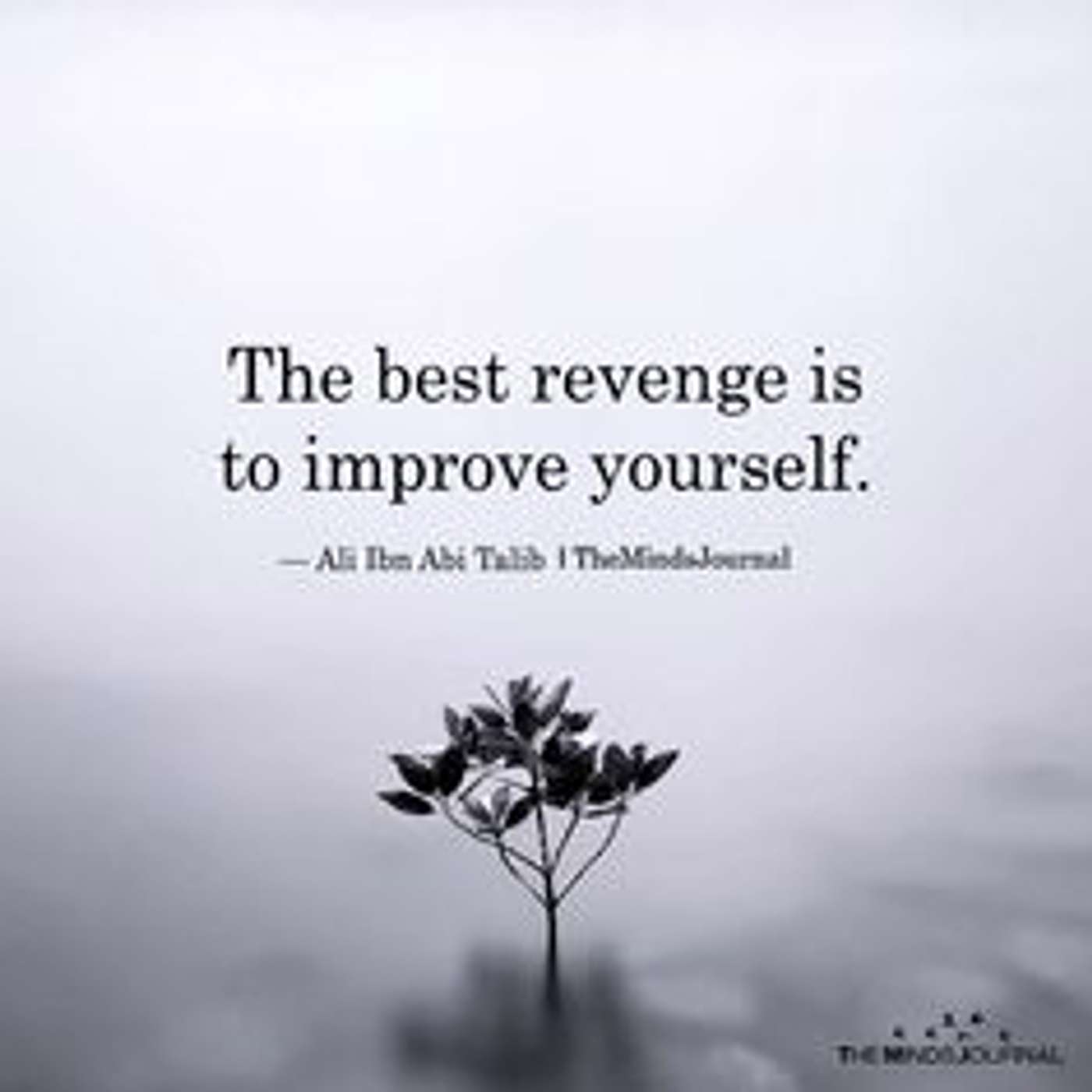 Episode 358 - Revenge -  More than just 