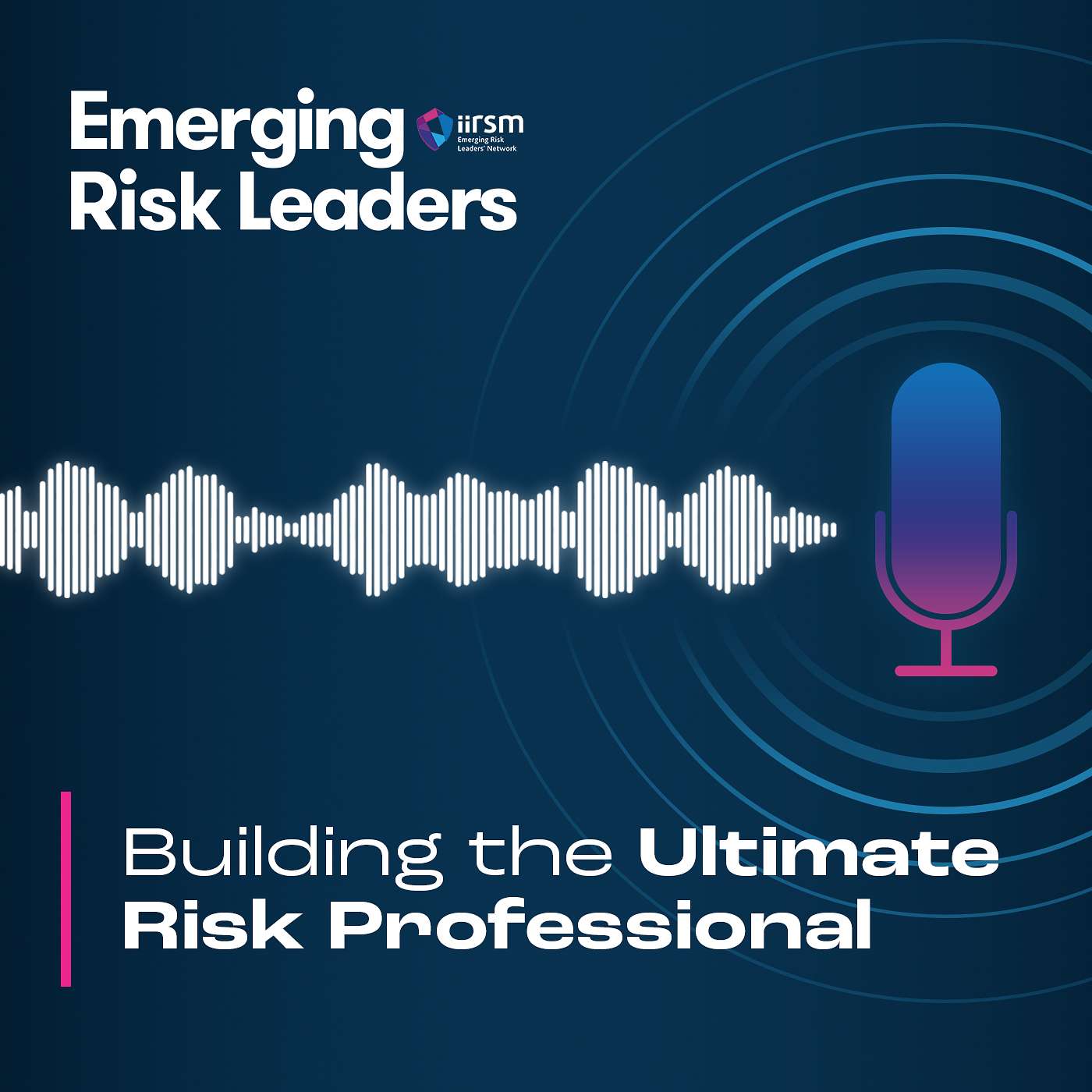 IIRSM Building the Ultimate Risk Professional 