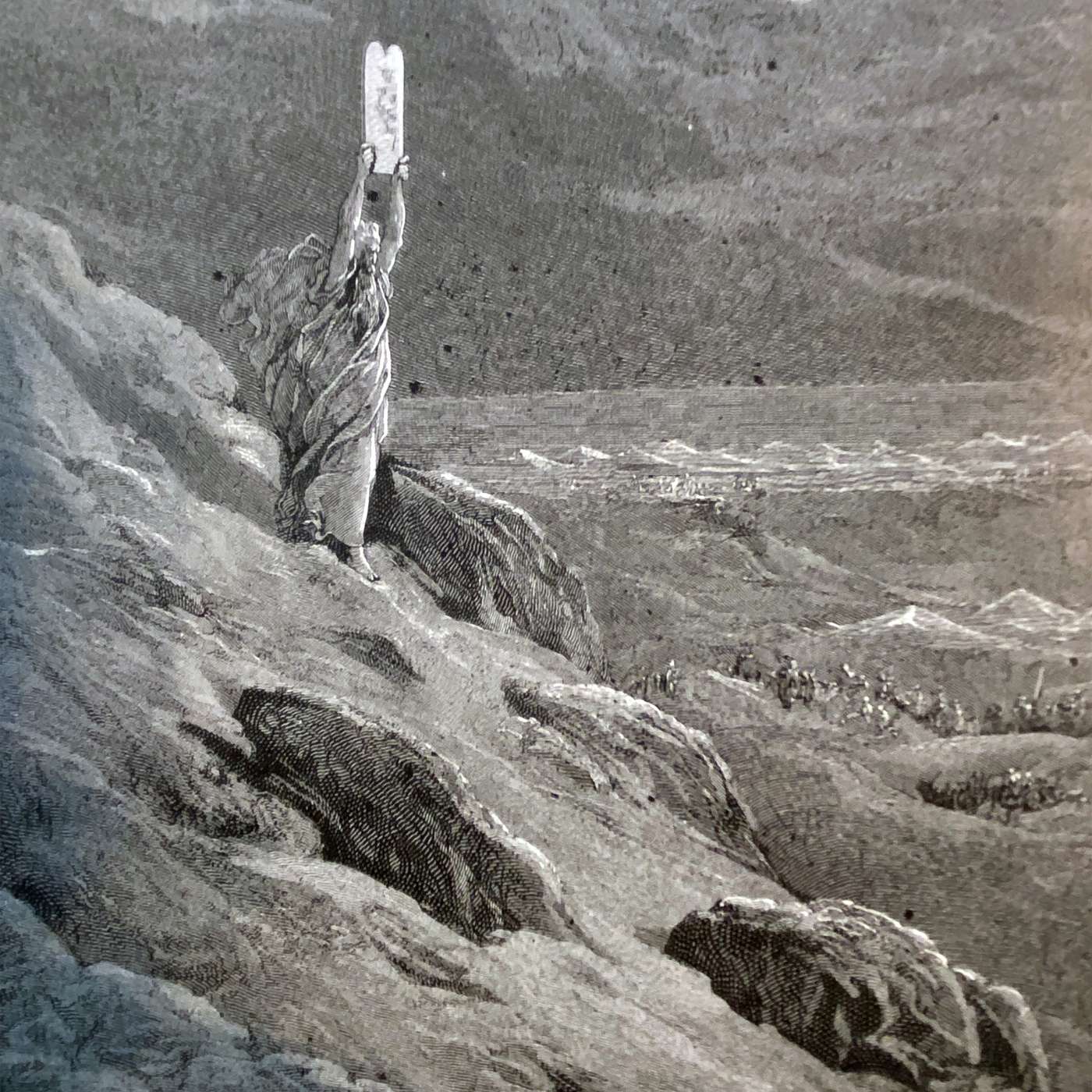 A New Voice of Freedom