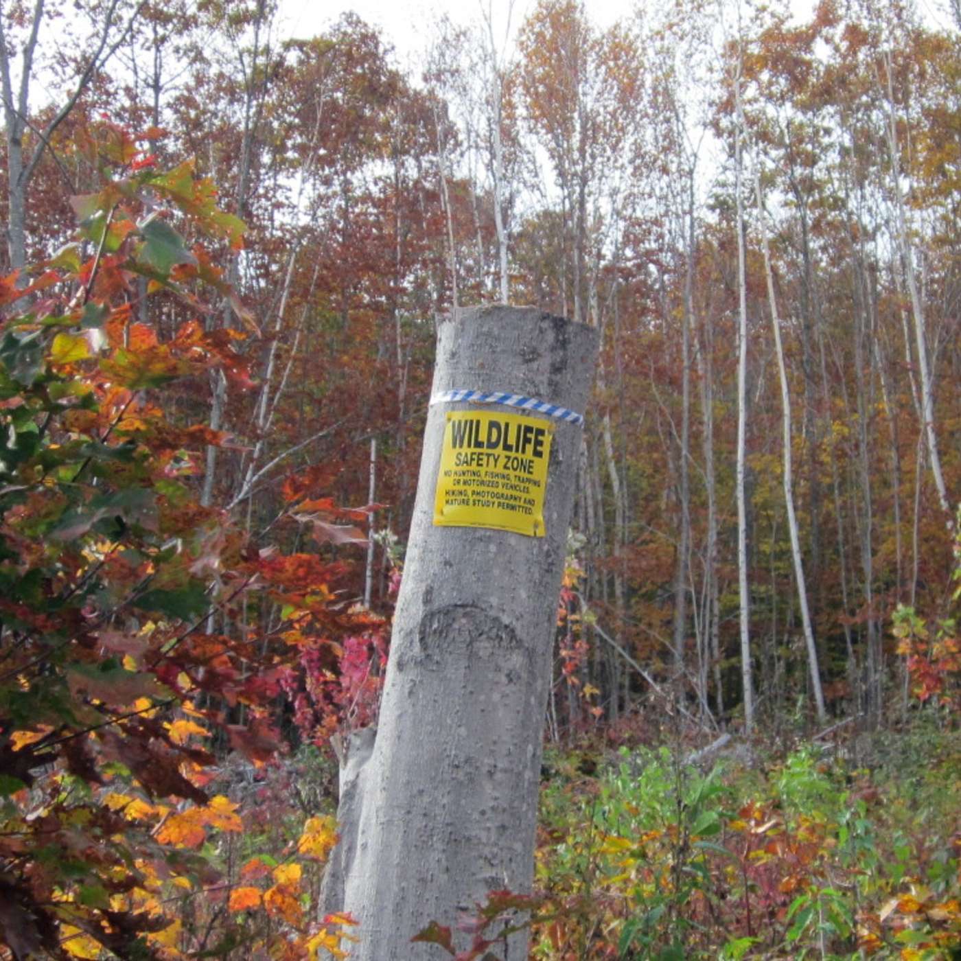 WILDLIFE SAFETY AREA
