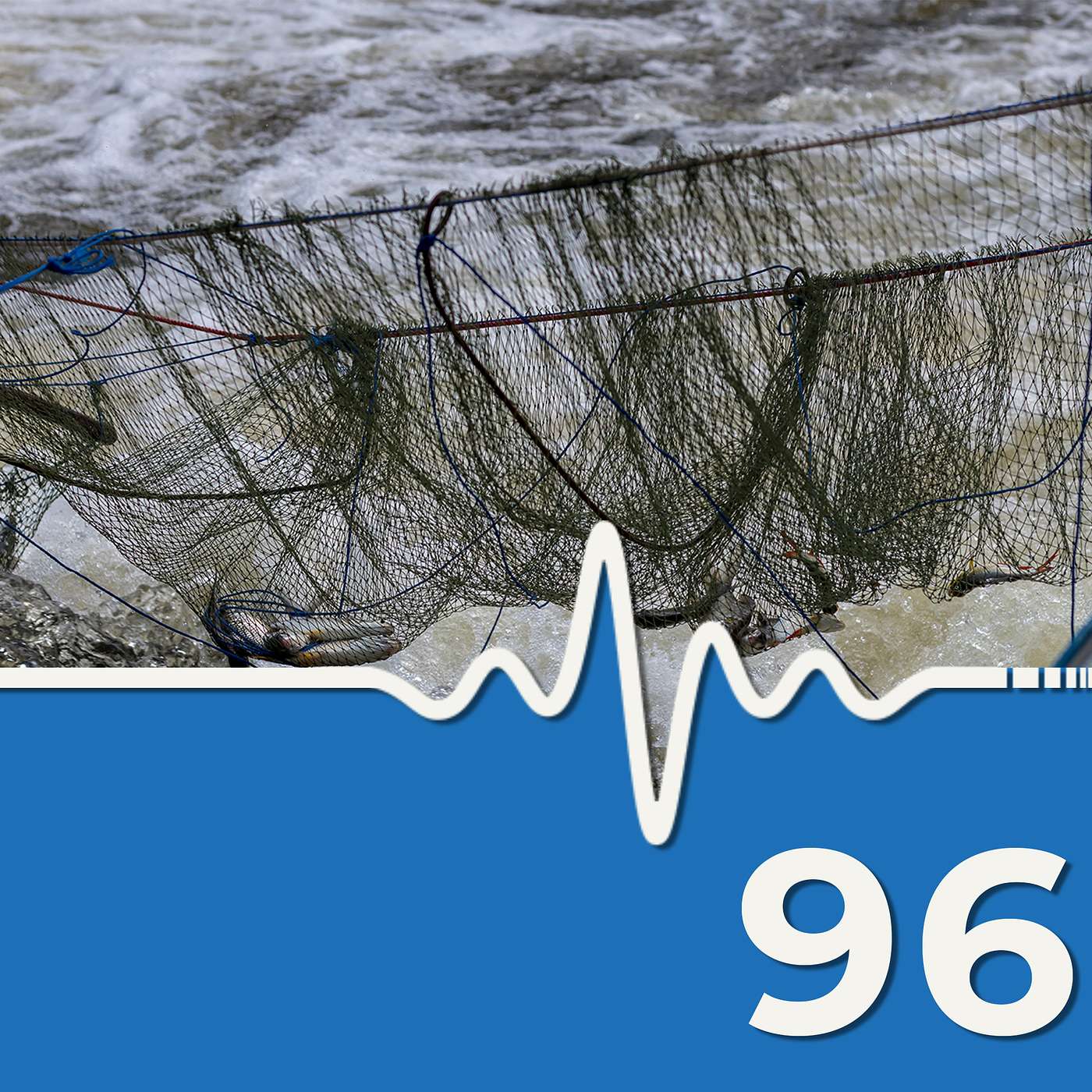 Body in the Net: A Fatal Oversight #scuba #news #podcast
