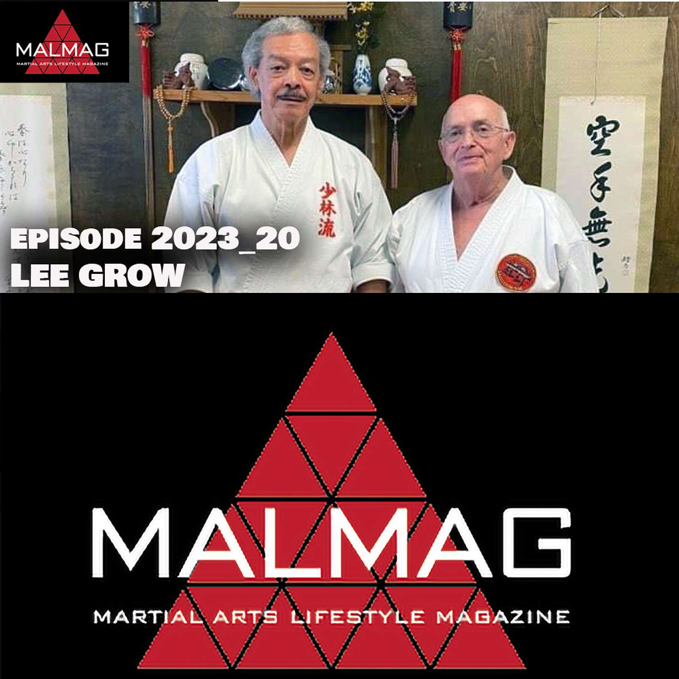 The Martial Arts Lifestyle Podcast