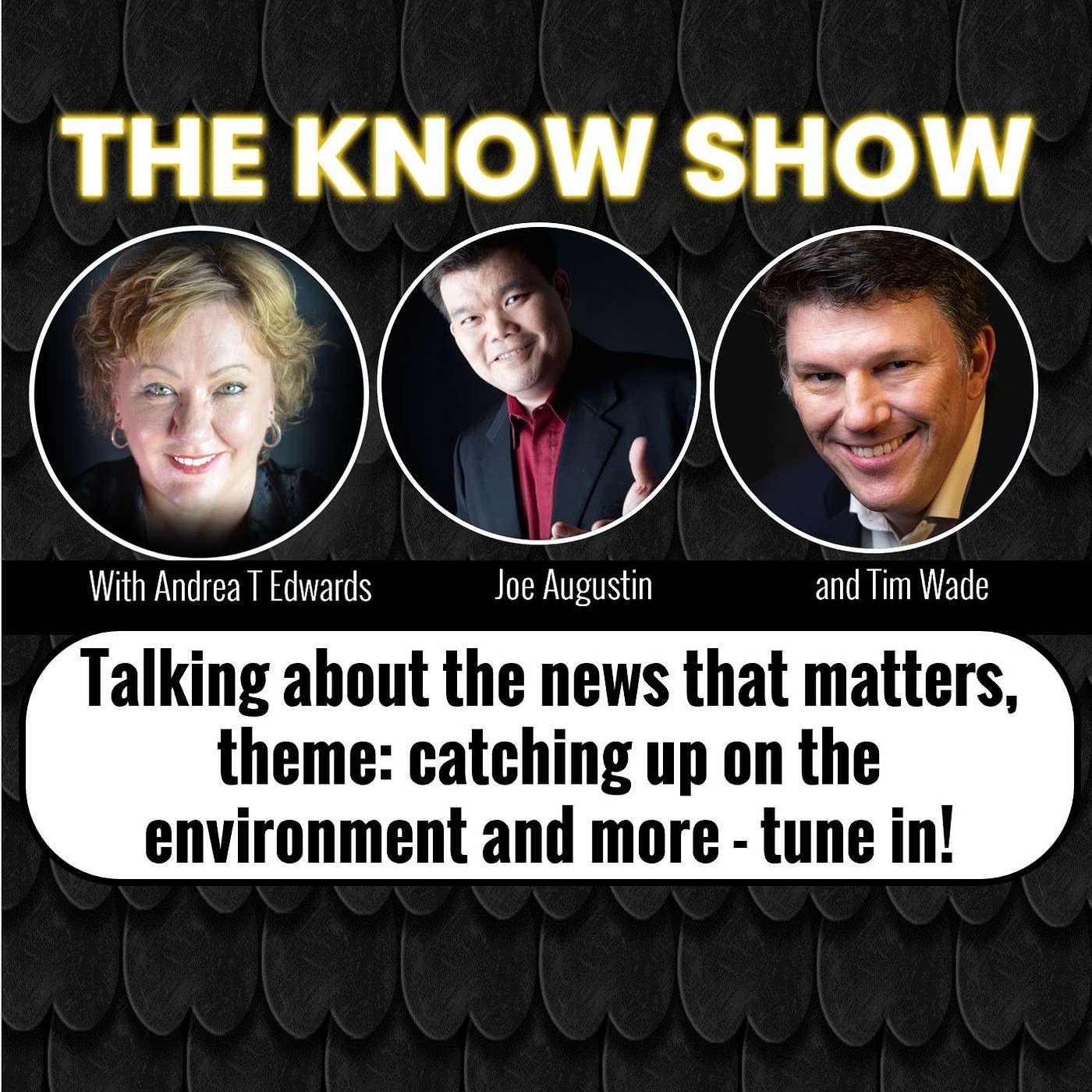 The Know Show – theme, catching up on the environment and more episode artwork
