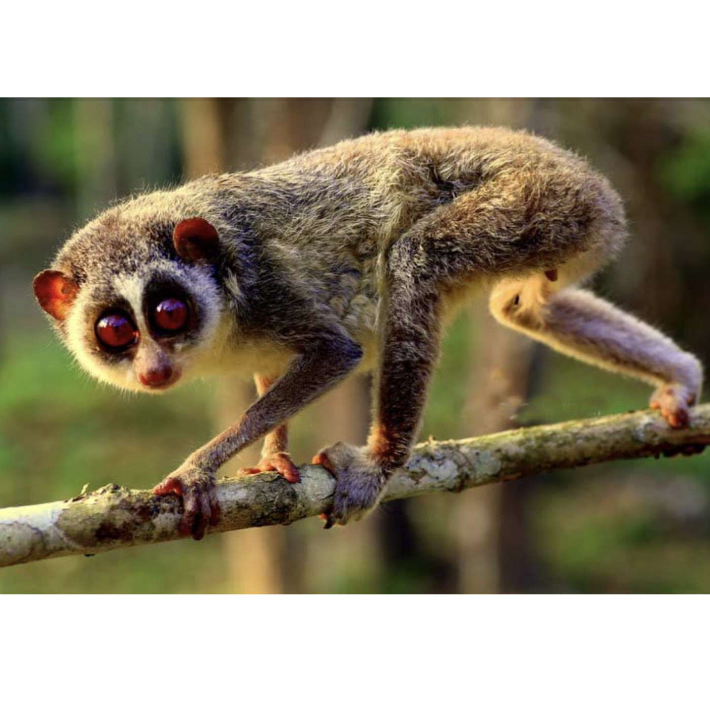 Sunday, November 9, 2025 - Amie Walker swings for the fences! Sunday, November 9, 2025 - Amie Walker swings for the fences!