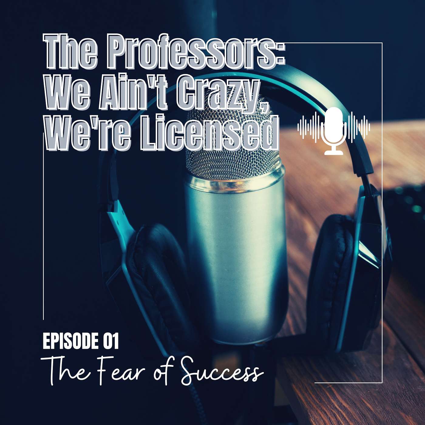 The Professors: We Ain\'t Crazy, We\'re Licensed