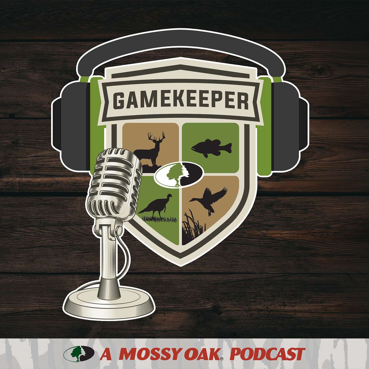 Podcast Image