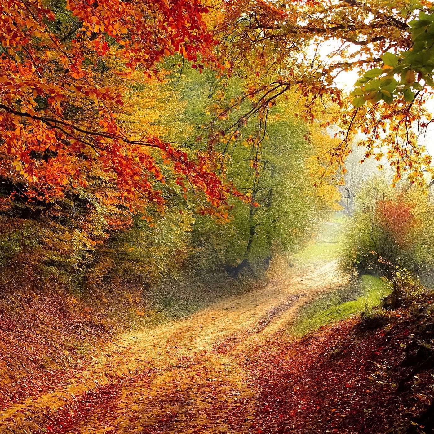 The Sabbath:  A Theology of Rest, Blessing, and Holiness