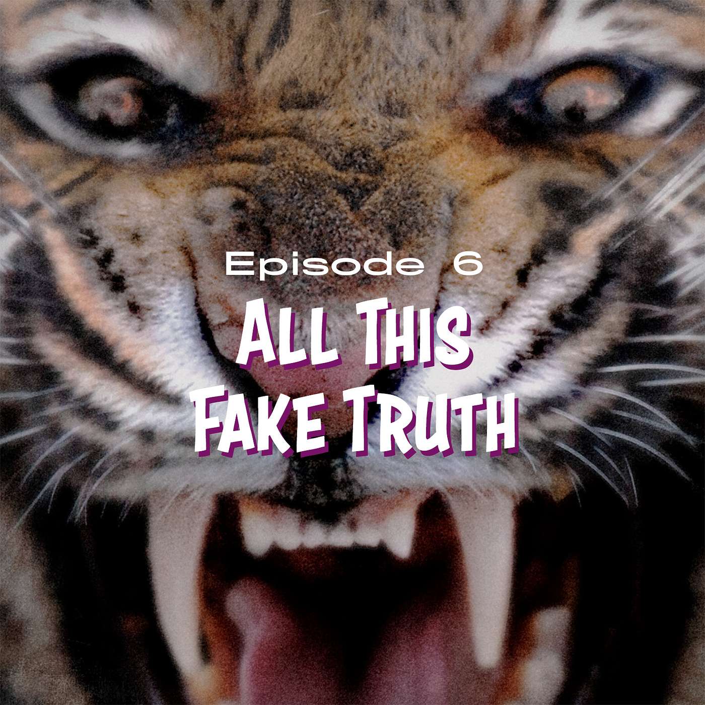 Part 6 | All This Fake Truth episode artwork