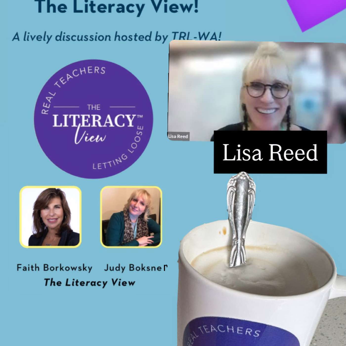 The Literacy View