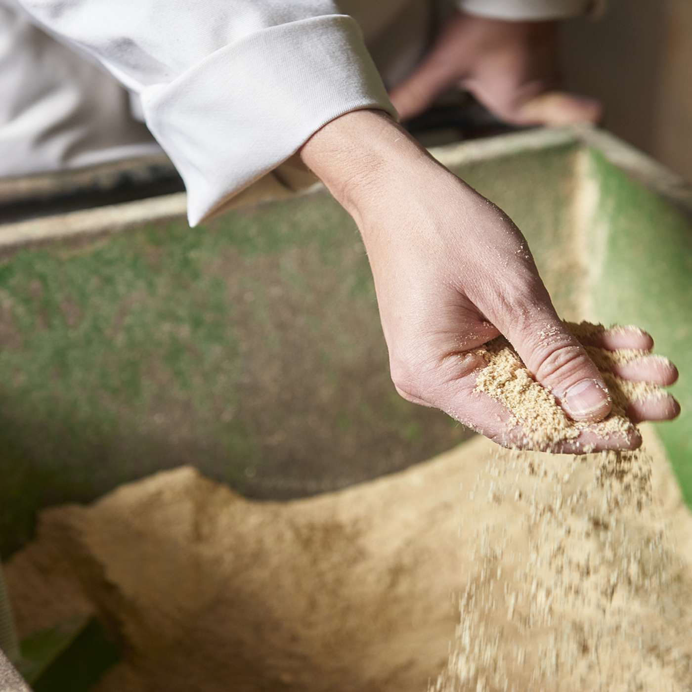 Griseproduktion