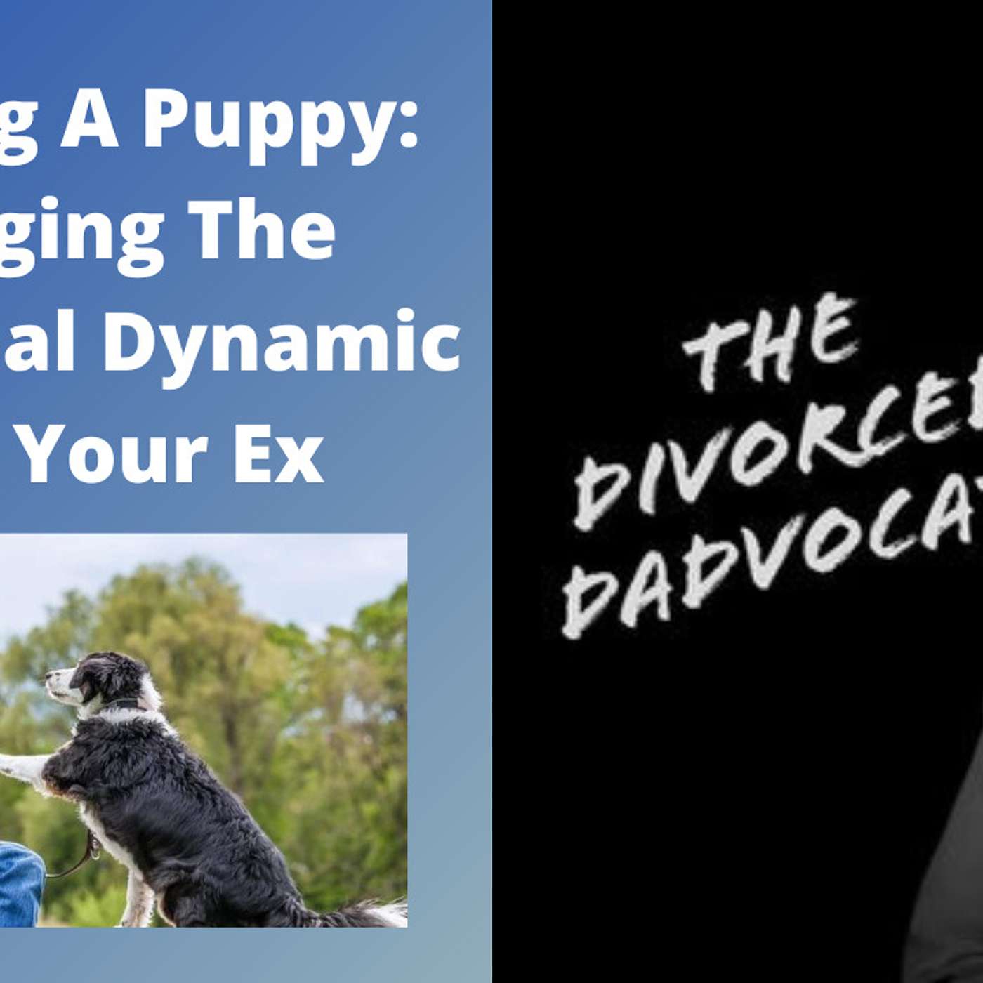 The Divorced Dadvocate: Divorce Support For Dads