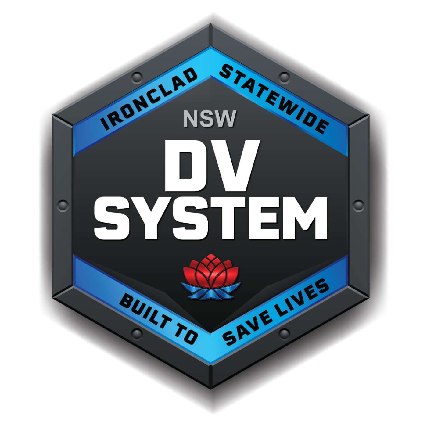 DV Needs Public Services: The Fight for Systemic Change episode artwork