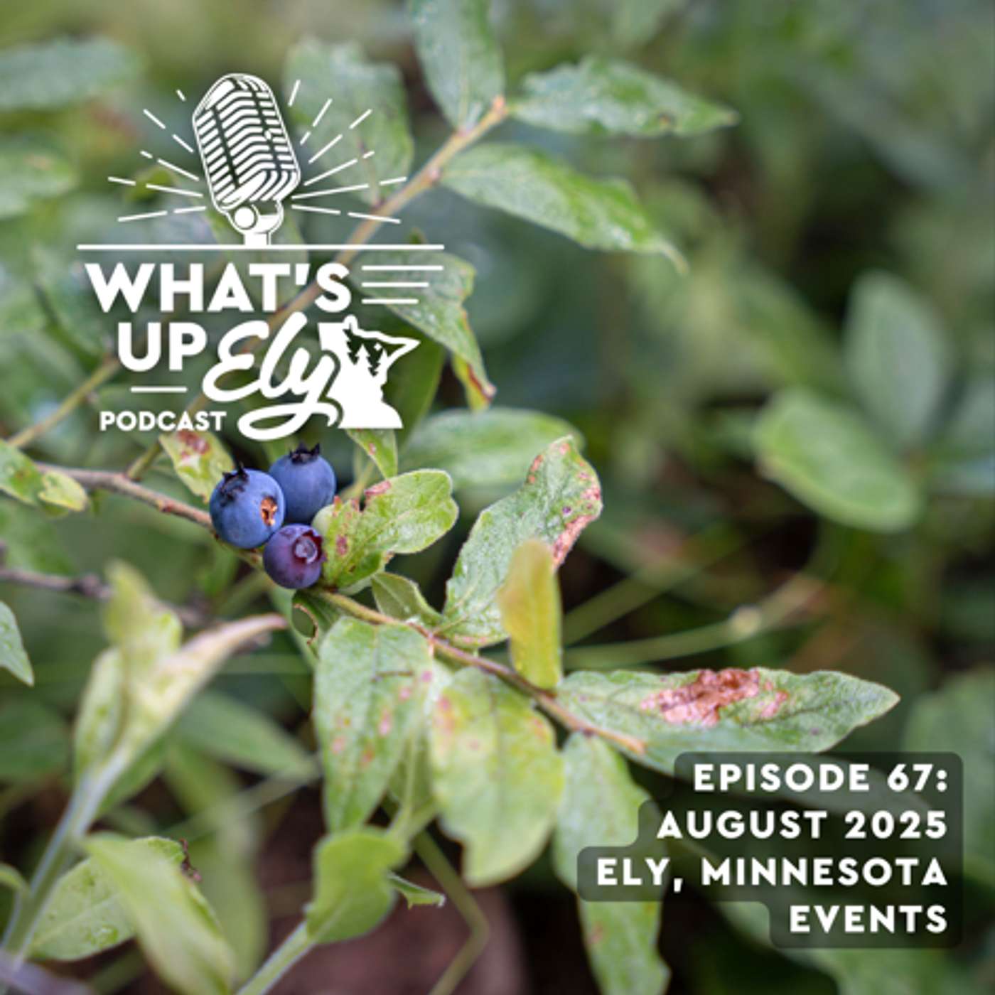 What\'s Up Ely