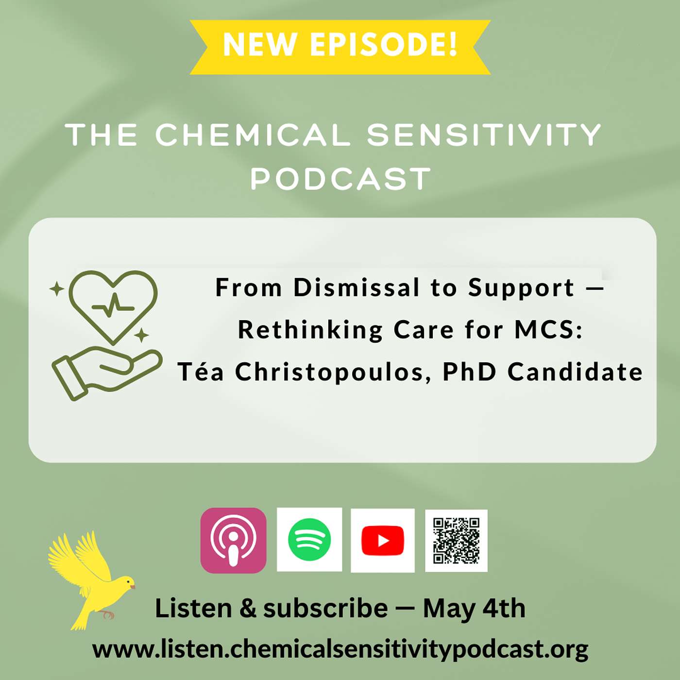 From Dismissal to Support — Rethinking Care for MCS: Téa Christopoulos, PhD Candidate
