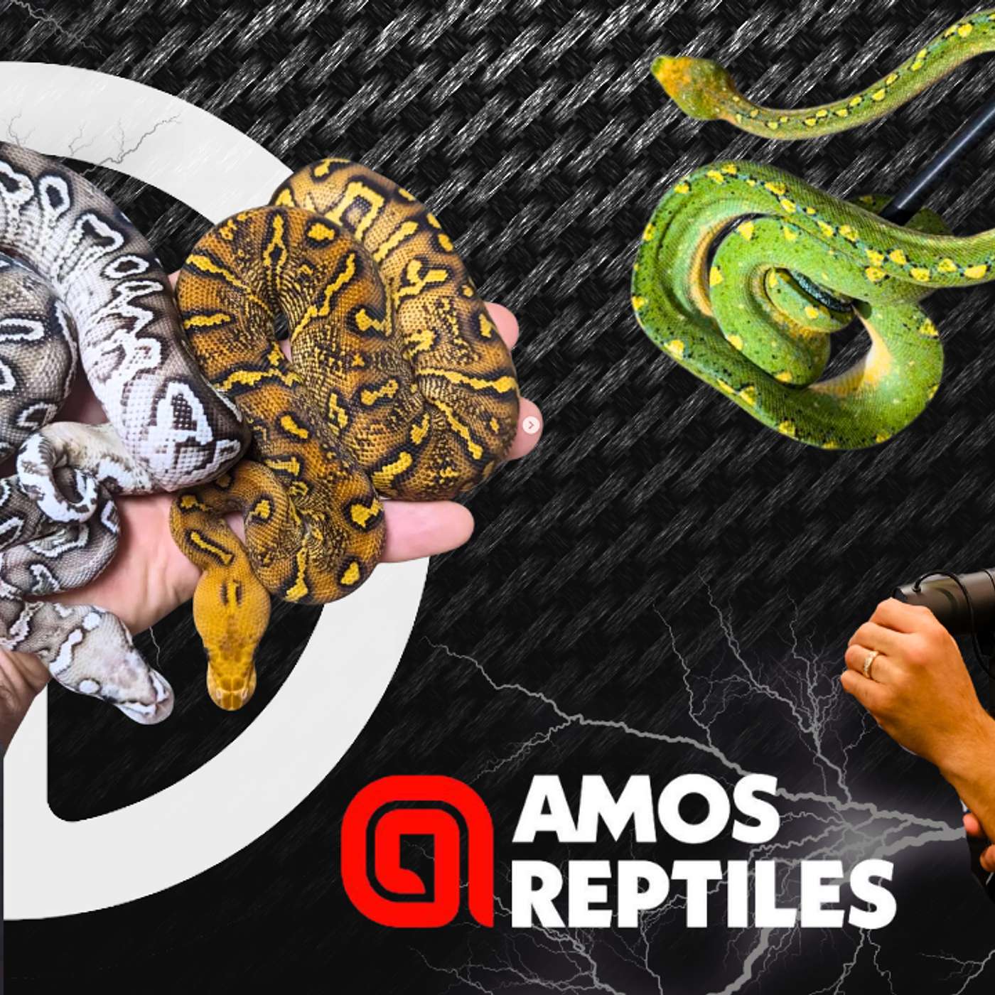 Good Bye Ball Pythons...Hello Green Tree Pythons | Trap Talk With MJ Live
