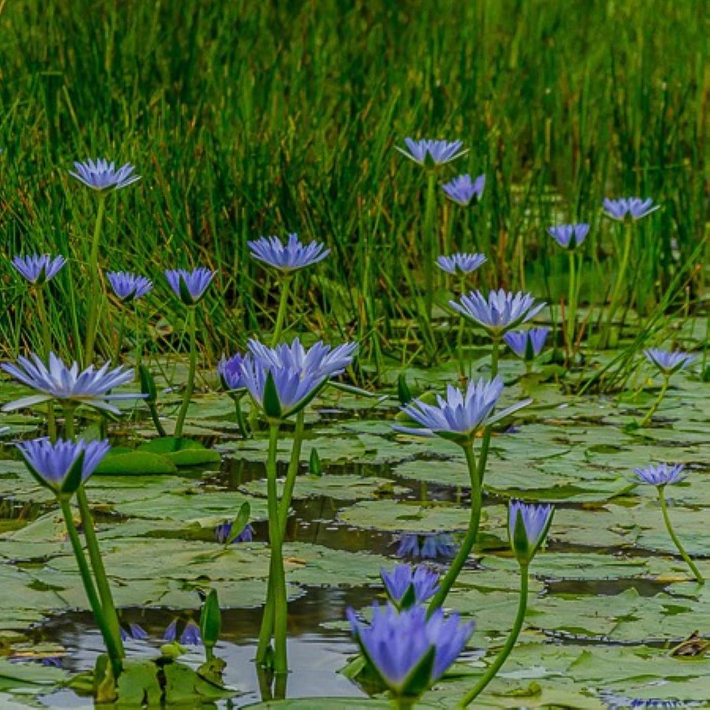 The Infinite Life: Consciousness Raising, Spiritual Transformation