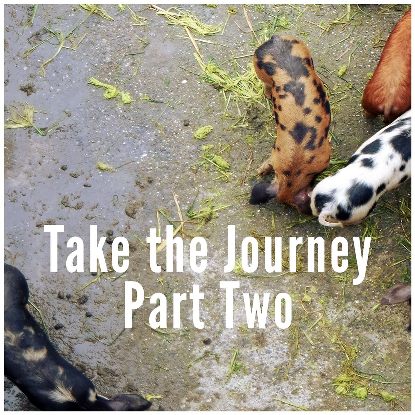 Take the Journey - Part Two