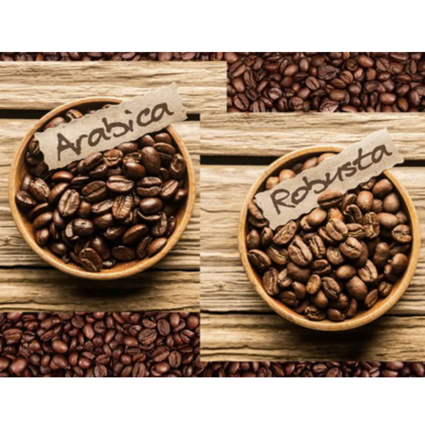 Sunday, February 23, 2025 - Nothing SPURIOUS about today's crossword, all clues have been triple-checked! The podcast though ... 😉