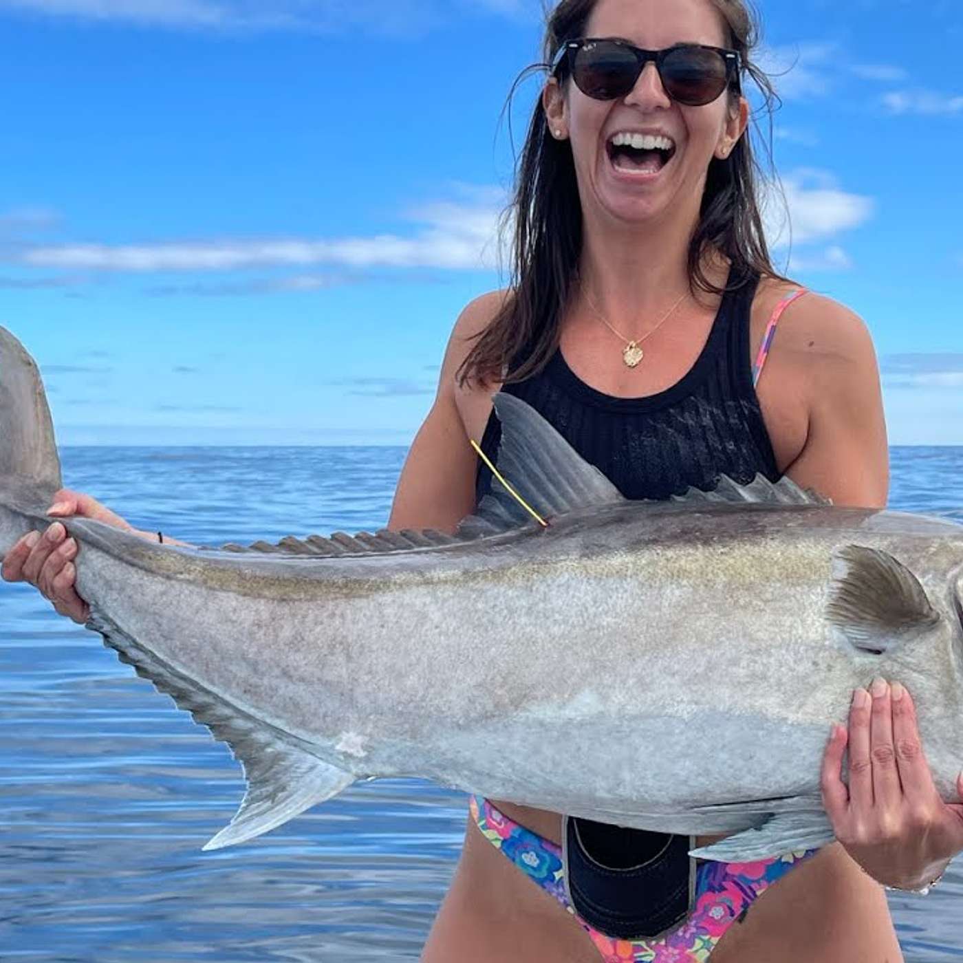 All The Gear But No Idea - The South Australian Fishing Podcast