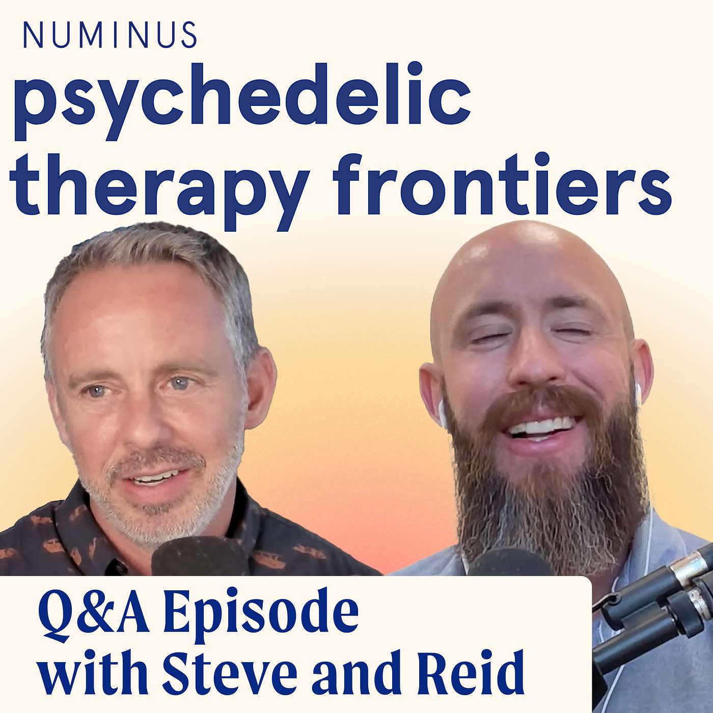 Q&A Episode with Steve and Reid