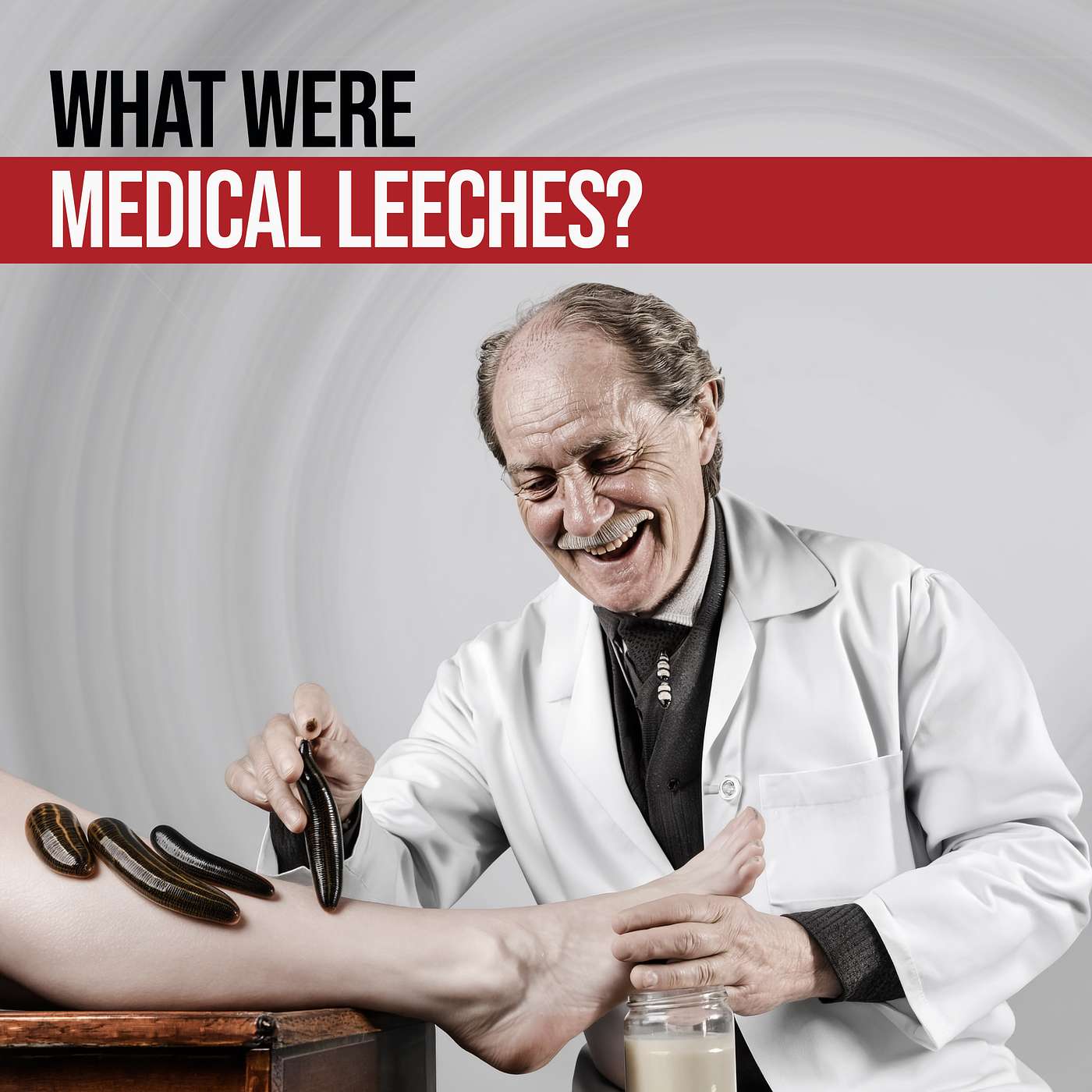 Sucking Saves Lives - The Bloodcurdling Story of Medical Leeches