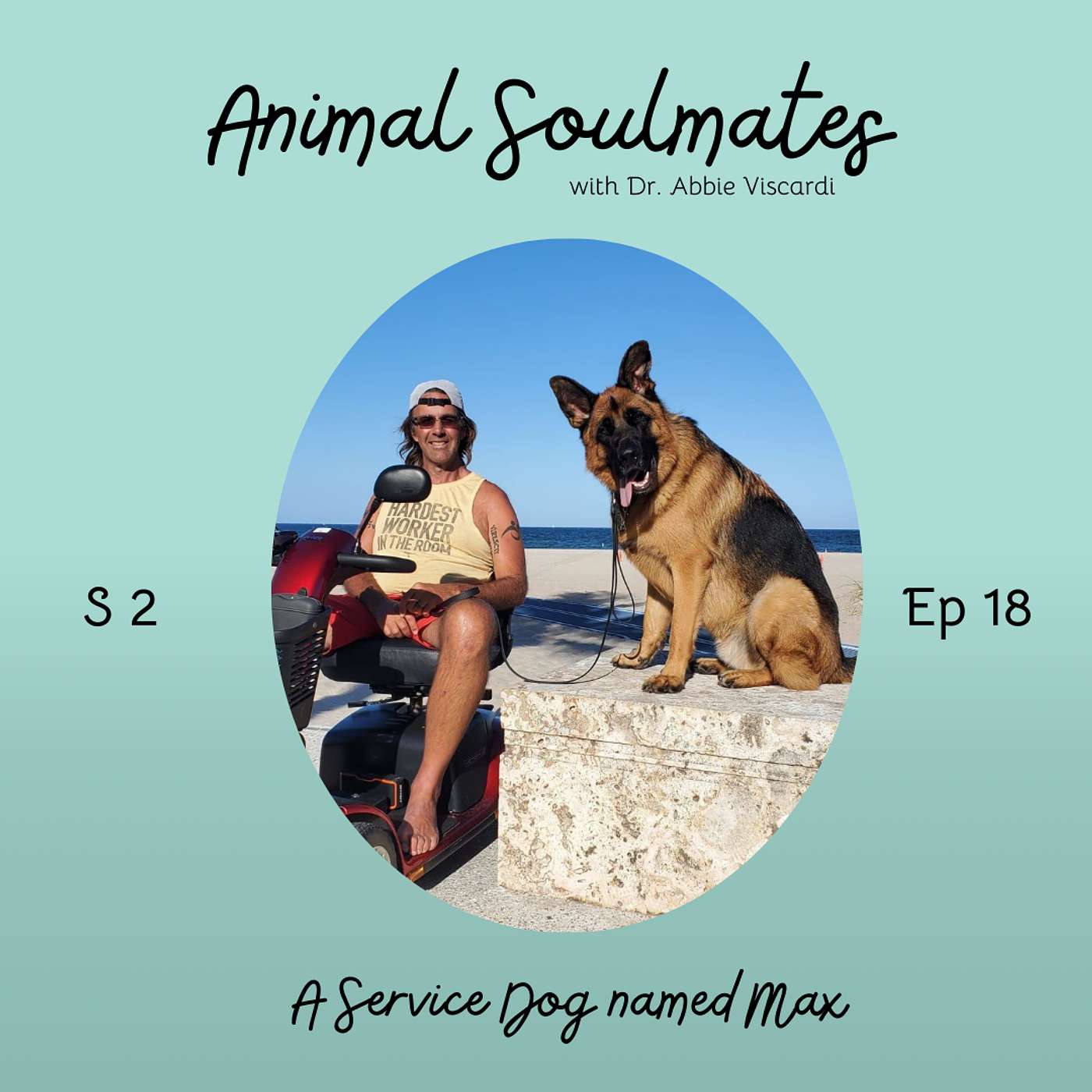 Animal Soulmates