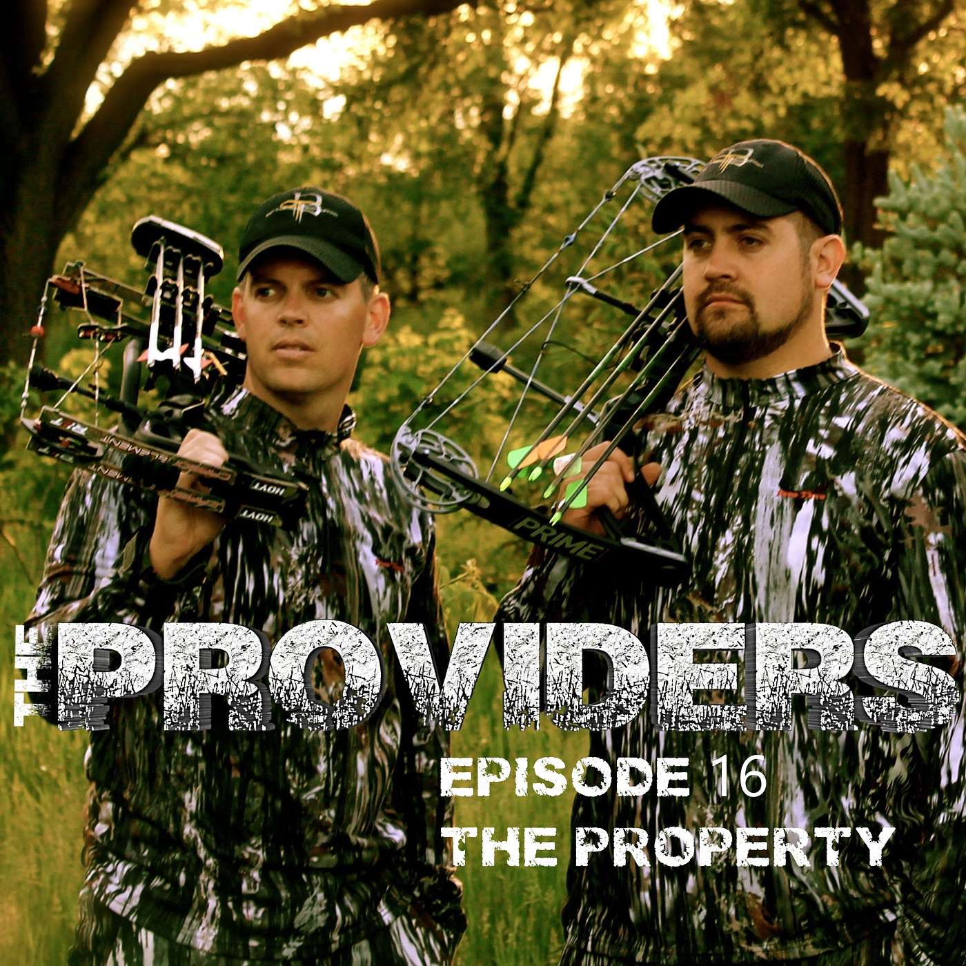 The Providers