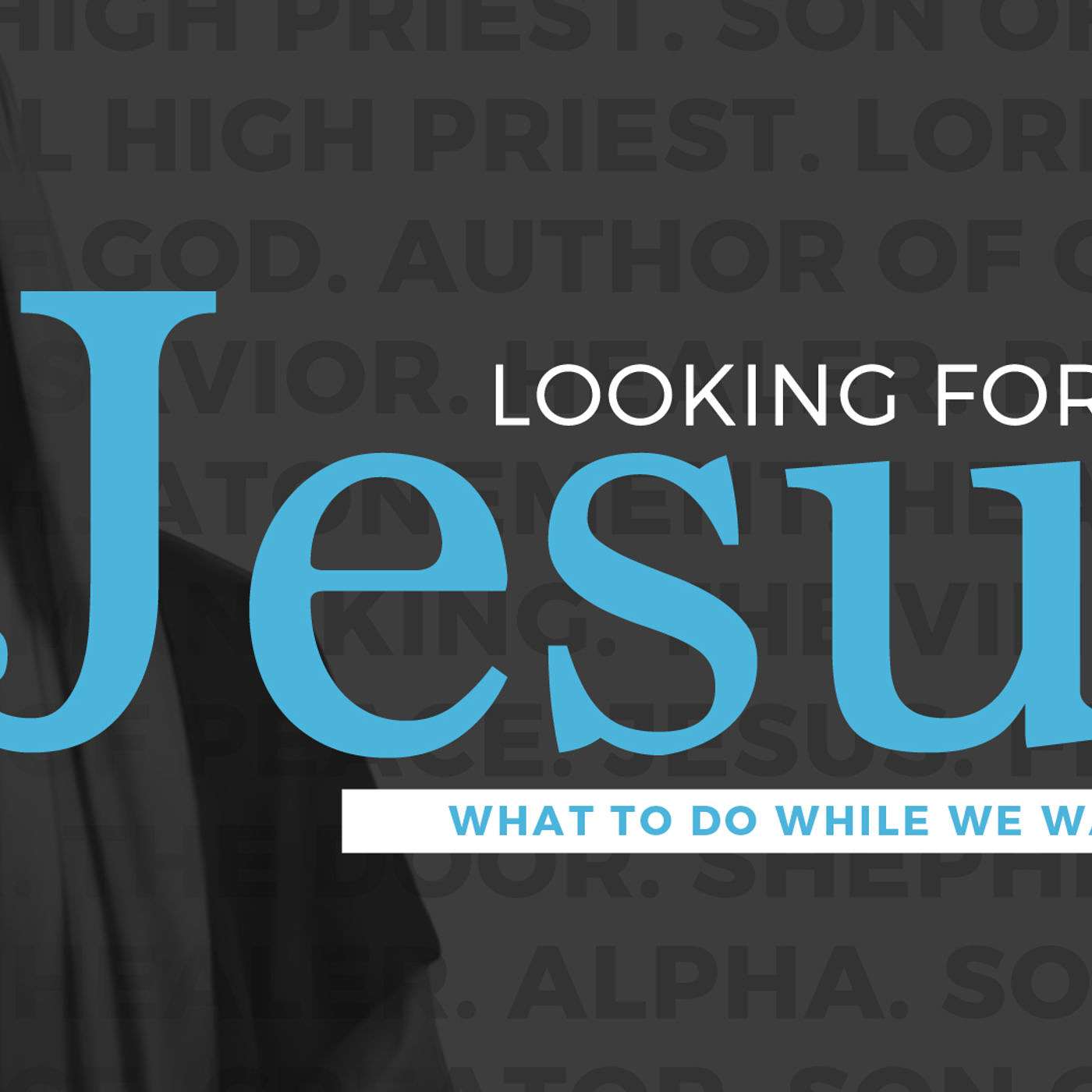 11-26-17 Looking for Jesus:  What to do while we wait 2 Peter 3:14-18 episode artwork