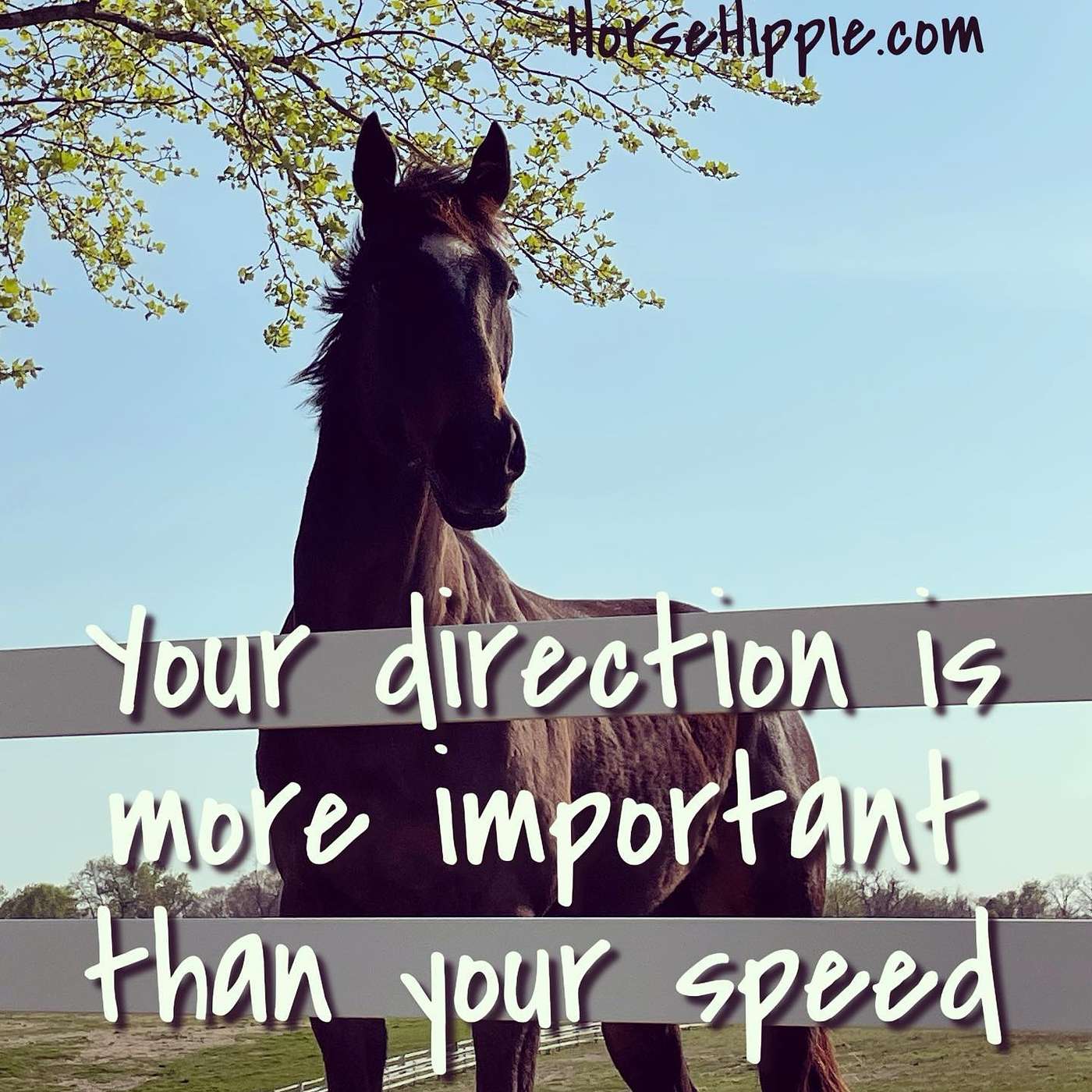 Your Direction