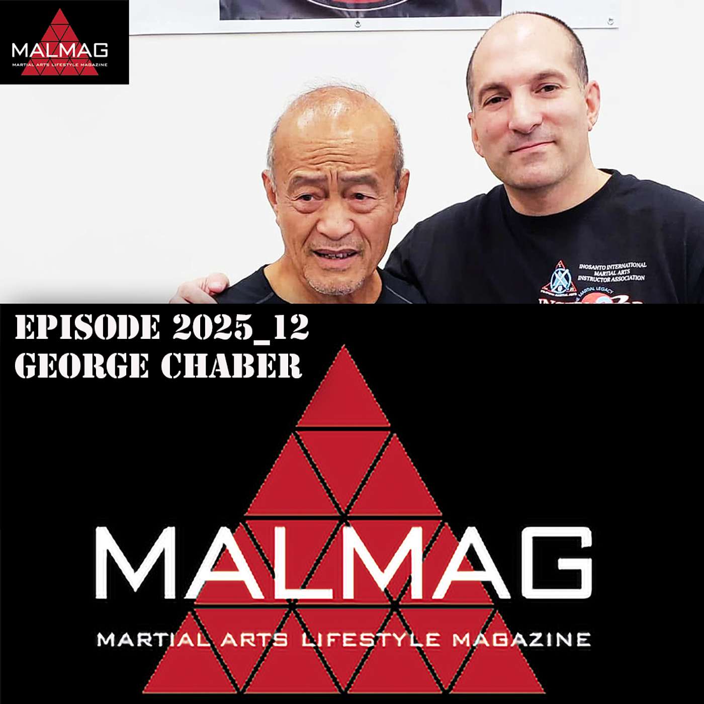 The Martial Arts Lifestyle Podcast