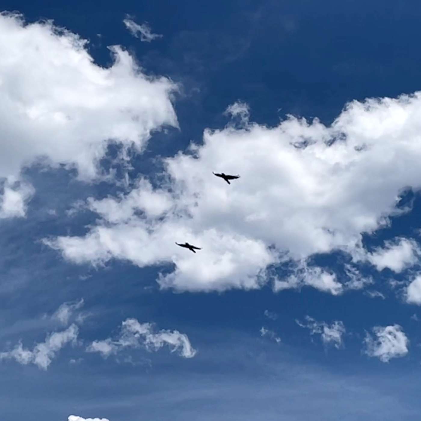 Vedic Astrology Weekly Forecast April 5 -11 Vedic Astrology Weekly Forecast April 5 -11