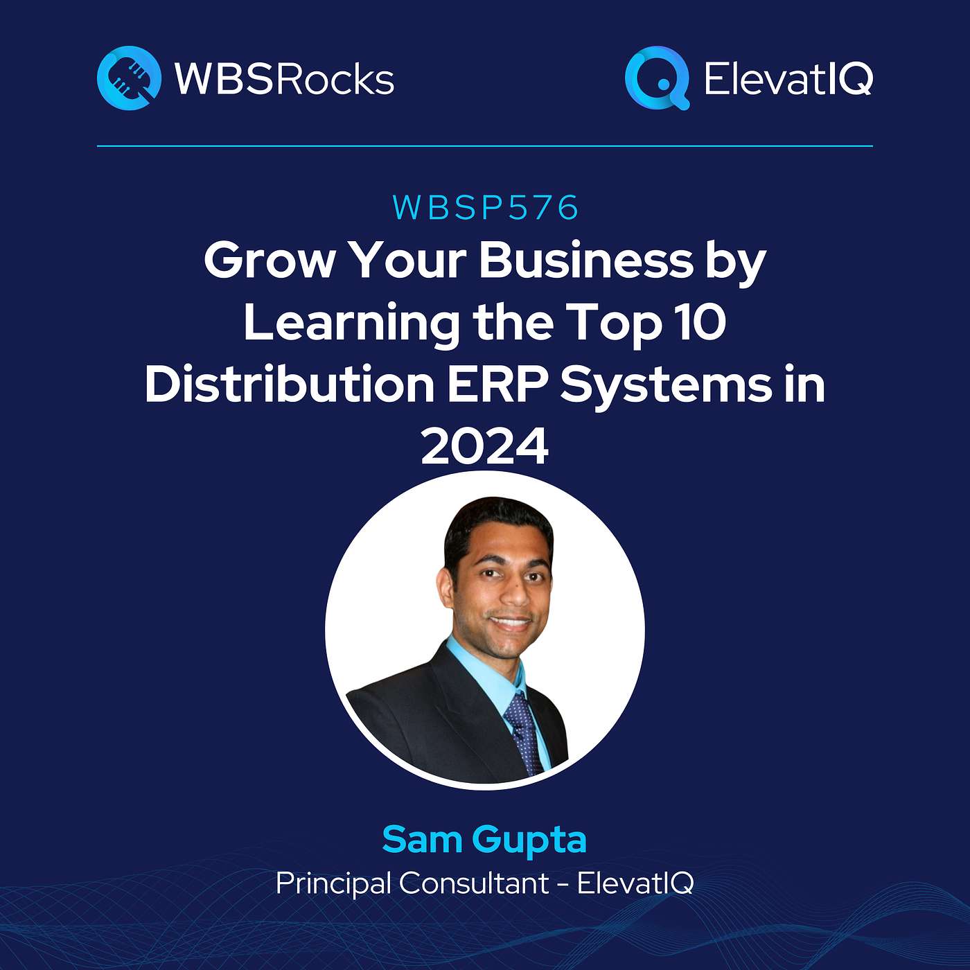 WBSP576: Grow Your Business by Learning the Top 10 Distribution ERP Systems in 2024 w/ Sam Gupta