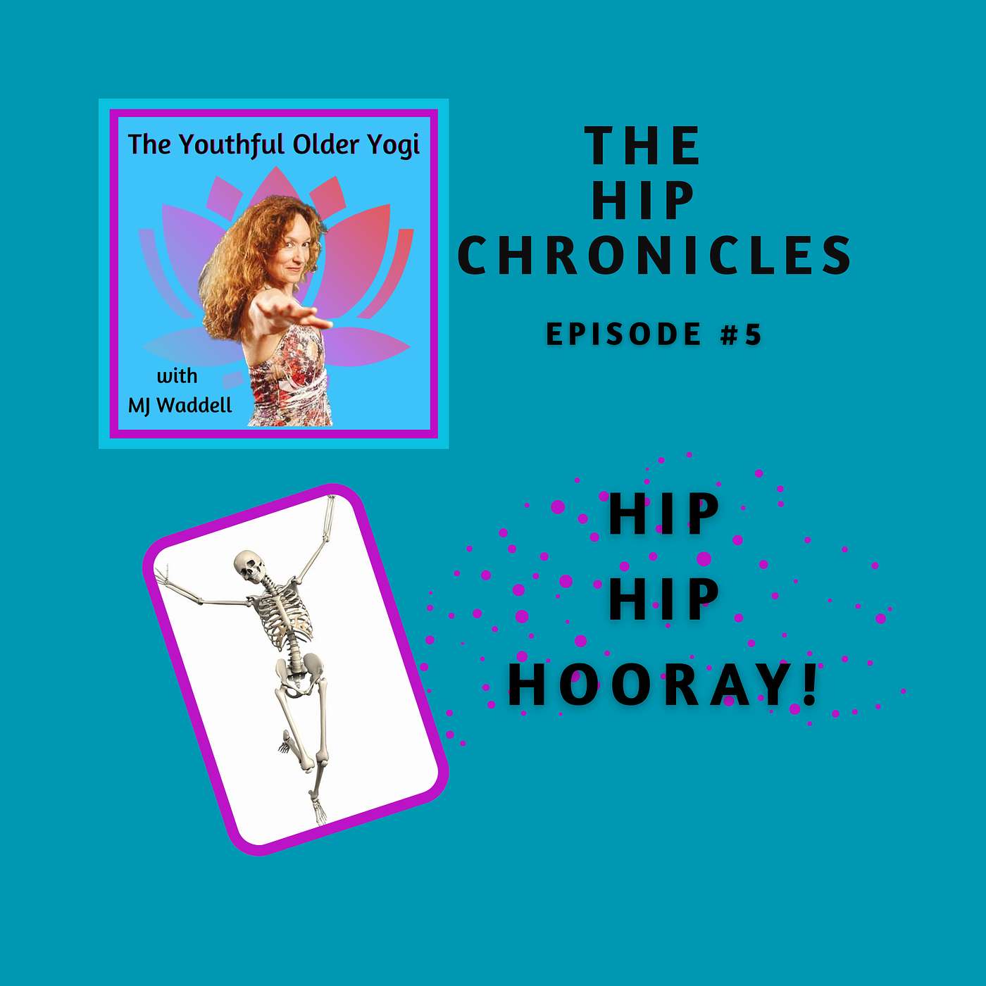 The Hip Chronicles--Episode # 5: Hip,Hip Hooray!