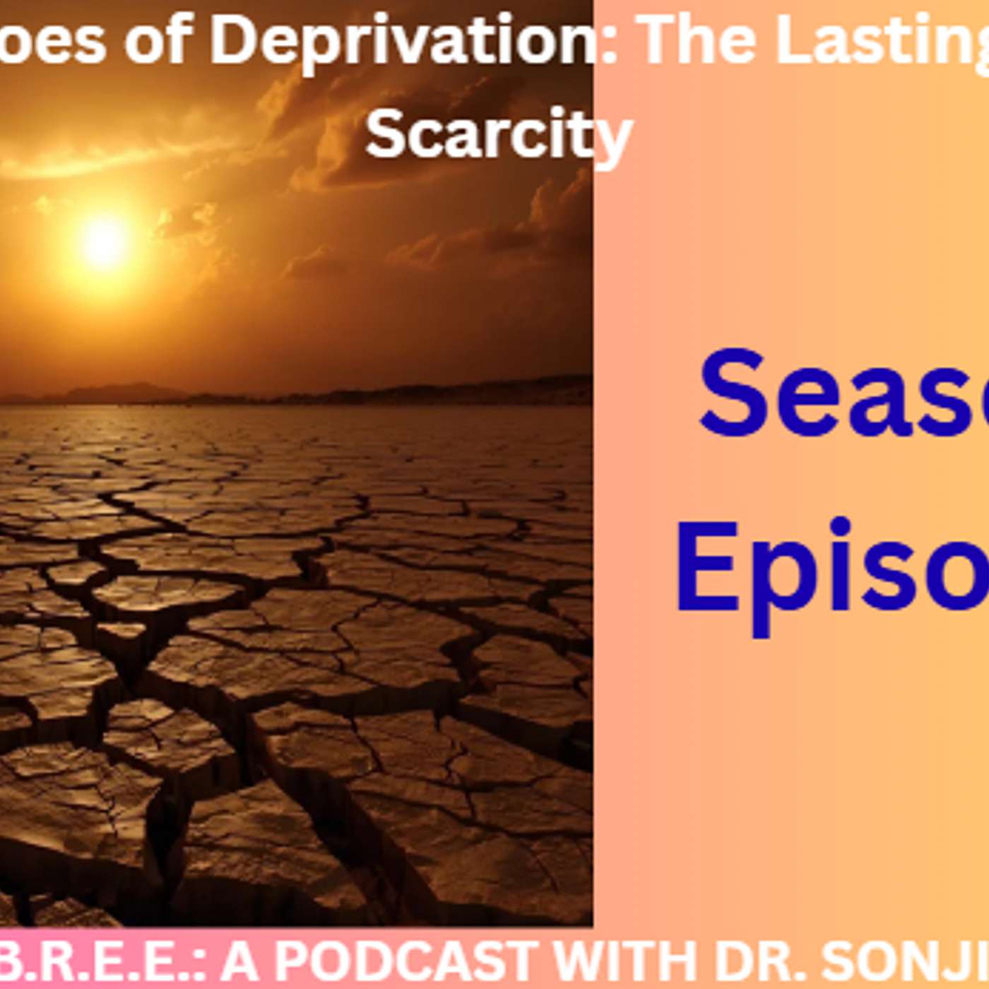 Echoes of Deprivation: The Lasting Impact of Scarcity episode artwork