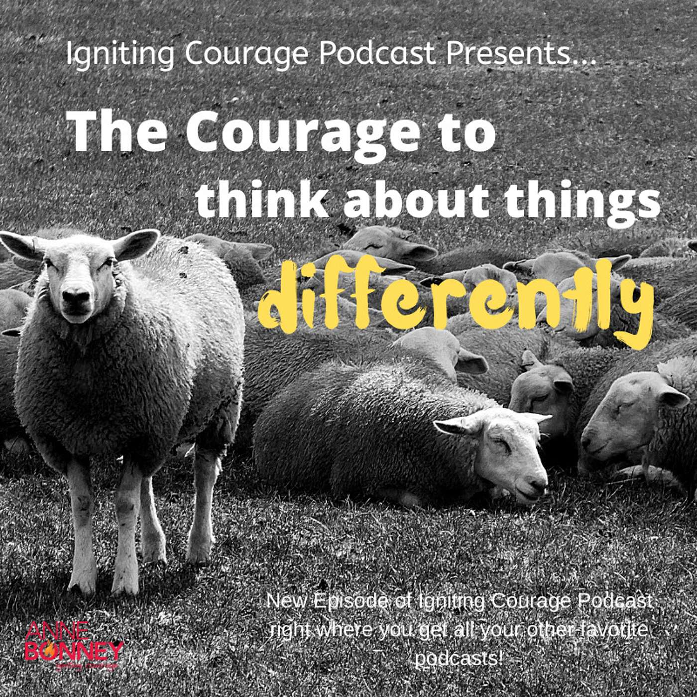 Dancing in the Discomfort Zone with Anne Bonney