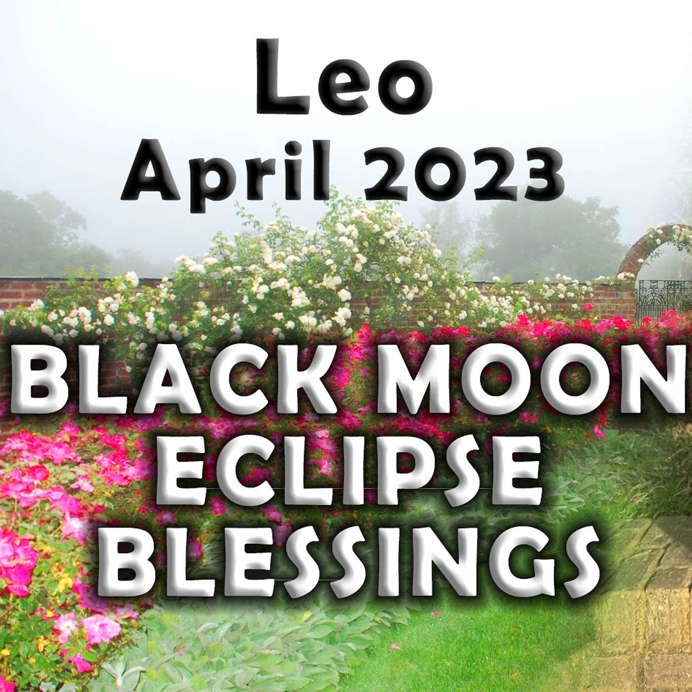 Leo April 2023 BLACK MOON ECLIPSE BLESSINGS for LEO (Astrology Horoscope Forecast)