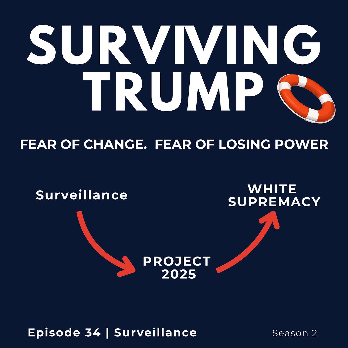 THE SURVEILLANCE STATE  How Palantir and Silicon Valley Are Building the Infrastructure of Authoritarian Control episode artwork