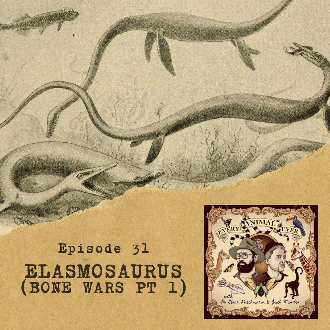 31 - Elasmosaurus - The Bone Wars part 1