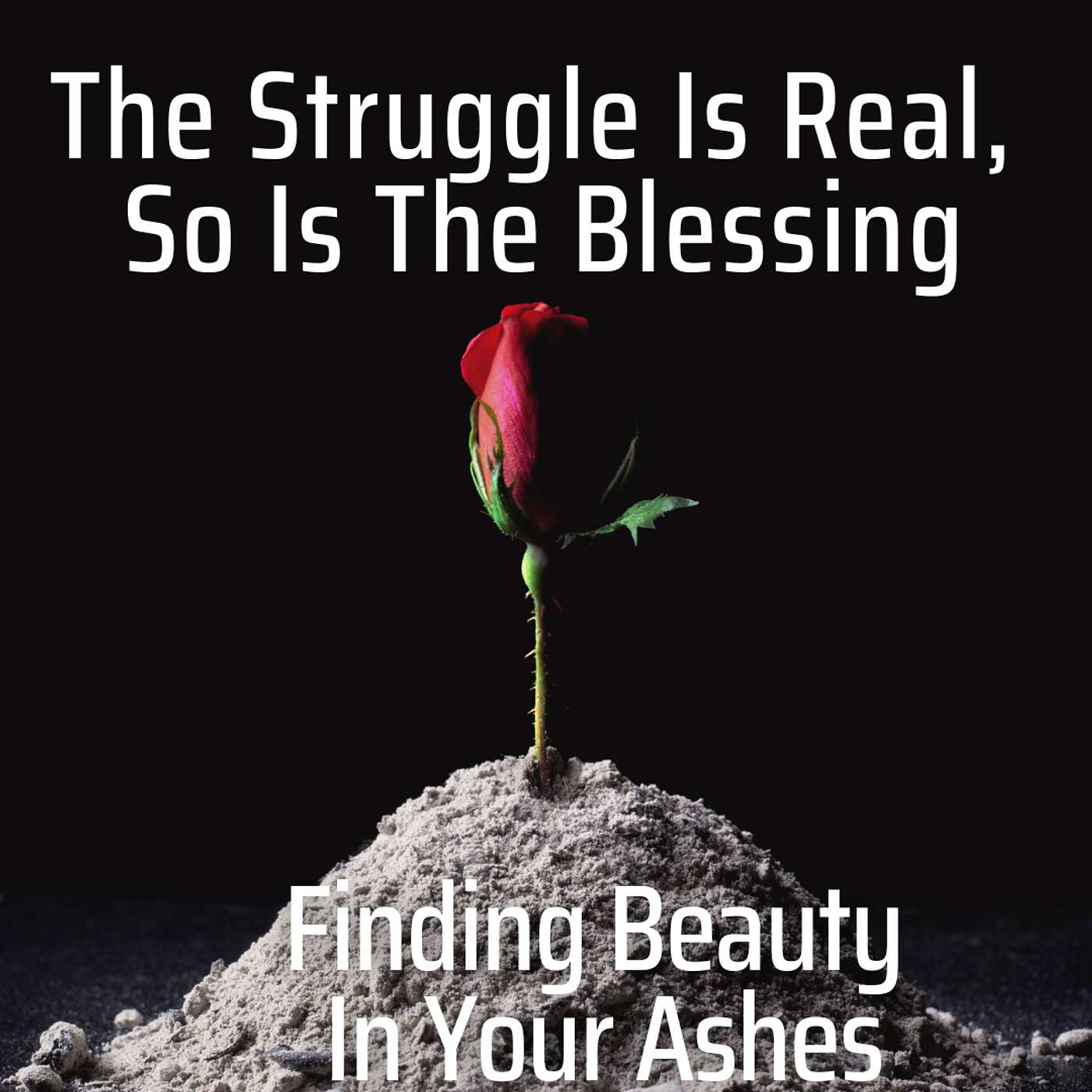 The Struggle is Real So is the Blessing: Part 1 episode artwork